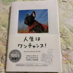 人生はワンチャンス! Only One Chance at Life