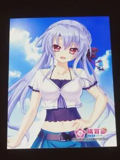 【非売品】劇場版 機動戦艦ナデシコ ホシノルリ　B3交通安全ポスター　た22 劇場版 機動戦艦ナデシコ ホシノ ルリ 交通安全ポスター B3サイズ