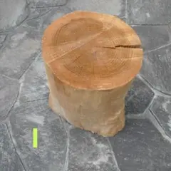 丸太　枯木　切株　オブジェ　高さ約40cm　傾きあり　工作素材　I