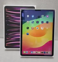 2026年最新】［中古］ apple ipad pro 11インチ wi－fi 256gb スペース