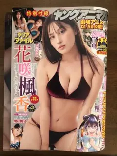 【花咲楓香】ヤングアニマルNO.23