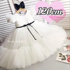 Item thumbnail for item 175834e0-0fce-49c0-8840-fa2b7b72fbe7