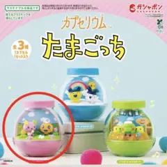 たまごっち　カプセリウム