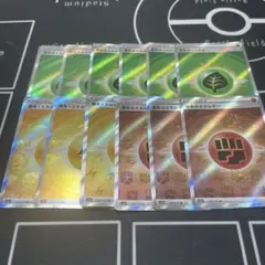 引退品　ポケモンカードゲーム　タケルライコエネルギーセット