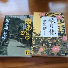 2025年最新】時代小説セットの人気アイテム - メルカリ