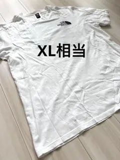 THE NORTH FACE ノースフェイス Tシャツ 半袖 ロゴ XL相当