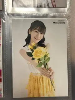 Item thumbnail for item 3cde644f-9761-4140-b020-5f6ff5e0e16b