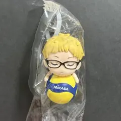 ハイキュー‼︎ × Mikasa めじるしますこっと　〜おやすみタイム〜　月島蛍