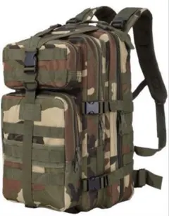 Item thumbnail for item 726eeb24-3229-43ce-9830-fc774d0151bc