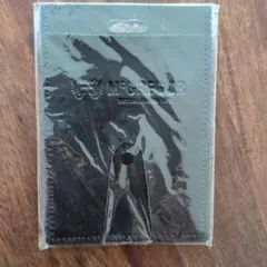 【新品未開封】McGREGOR パスケース 定期入れ ブラック