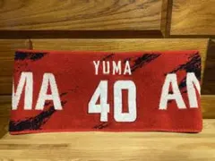 最終価格❗️【中古】KASHIMA ANTLERSYUMA 40番タオルマフラー