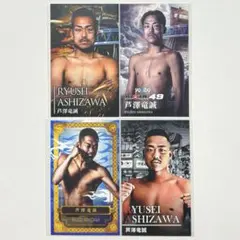 Item thumbnail for item a12be180-bc78-480b-98af-5396caa739db