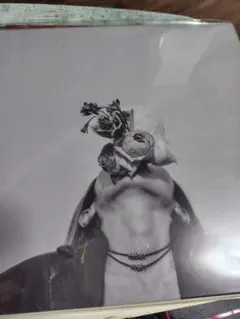 新品sublimated (LP) Archeレコード - メルカリ