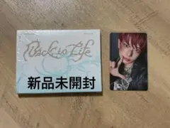 & TEAM Back to Life 新品未開封 ハルア