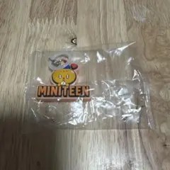 MINITEEN SEVENTEEN スングァン めじるしキーホルダー