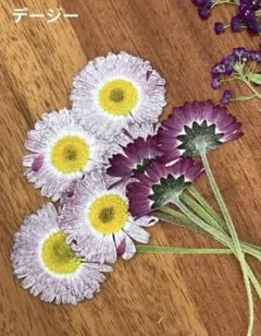 専用ページです☺︎