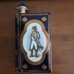 希少】CAMUS NAPOLÉON1769-1969 リモージュ陶器ボトル空瓶 - メルカリ