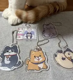 Item thumbnail for item f140b6b8-d5e8-49a1-b7c2-108e772ca226