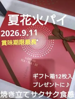 ガトウ専科♡夏花火パイ♡長岡花火♡ギフト箱12枚♡2026.9.11♡丁寧に梱包のサムネイル