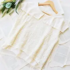 状態良好！ナチュラルビューティーベーシック★ビッグカラーレースブラウス★F