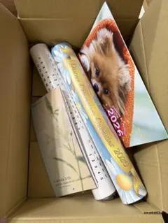 2026カレンダーディズニーまとめ売り