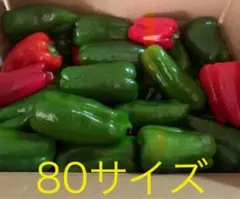 朝獲れ新鮮☀️産地直送✨高知県産ピーマン7キロ送料込み 安心安全の減