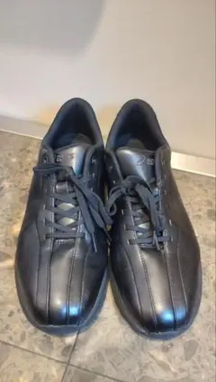 ASICS GEL-WANDER M 26.0cm　(箱付き)