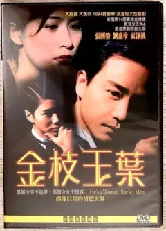 『金枝玉葉』（君さえいれば）レスリー・チャン　台湾版DVD【新品】