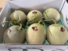 地域によって値引き】夕張メロン共撰品良品6玉 1玉約1.3kg※掲載は九州
