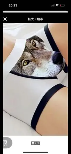 Item thumbnail for item 574f8ca0-0dbf-4079-8bf1-108ce80c9070