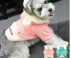 犬の服　うさ耳　くま耳　着ぐるみピンクXL