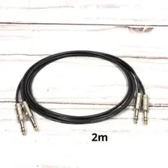 CANARE L-4E6S TRS XLR ケーブル 1m 2本セット - メルカリ