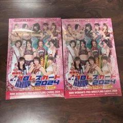 BBM 2024 女子プロレスカード 新品未開封ボックス シュリンク付き 