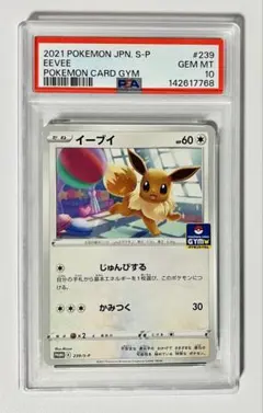 イーブイ 239/S-P プロモ ジムプロモ第8弾 PSA10