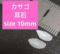 カサゴ 耳石 お守りパワーストーン天然石宝石開運受験　F54