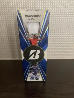 Item thumbnail for item 638acb26-e65c-49c1-b750-2aefc0f835ce