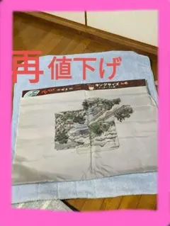 Item thumbnail for item 9e9f78f1-3f8f-4a5f-b604-45ad89529720