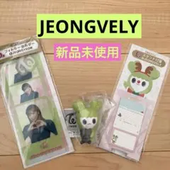 TWICE ジョンヨン　マスコット　フォトキーホルダー他