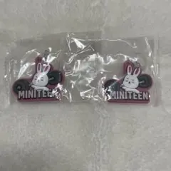 Item thumbnail for item cae79fe7-5891-4b74-9b9a-8090738d990f