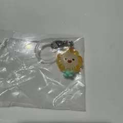 JOCHUM めじるしアクセサリー　Bira