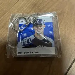 埼玉西武ライオンズ　佐藤爽