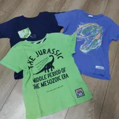 FARM　キッズ　恐竜　半袖Tシャツ まとめ　120のサムネイル