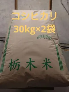 2026年最新】水稲うるち玄米の人気アイテム - メルカリ
