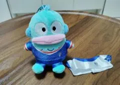 ⚡️【韓国限定・ハンギョドン マスコット カラビナ付】⚡️