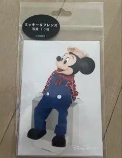 みずき様 リクエスト 2点 まとめ商品