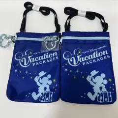 【新品】ディズニー　ミニポーチ　ショルダーバッグ カナビラ　2個セット