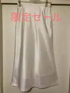フレアースカート ⭐️最終値下げしましたのサムネイル