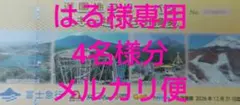 富士急ハイランド 遊園地フリーパス 4枚 - メルカリ
