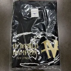 5月2日東京ドーム井上尚弥　後援会Tシャツ、キーホルダー、ナップサック3点セット 5月2日東京ドーム井上尚弥 後援会Tシャツ、キーホルダー、ナップサック