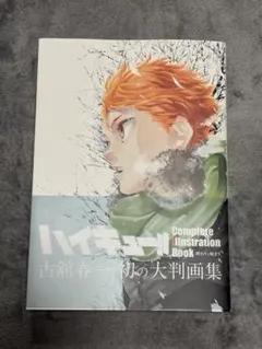 ハイキュー!! Complete Illustration book 終わりと…